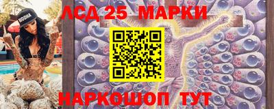 ГАЛЛЮЦИНОГЕННЫЕ ГРИБЫ Коммунар