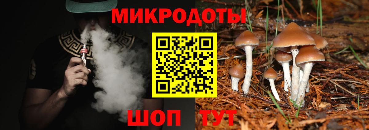Кинель  Псилоцибиновые грибы GOLDEN TEACHER  Вход с VPN  Галлюциногенные грибы Psilocybe 